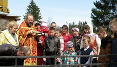 На родине Святителя Николая Японского посадили аллею сакуры