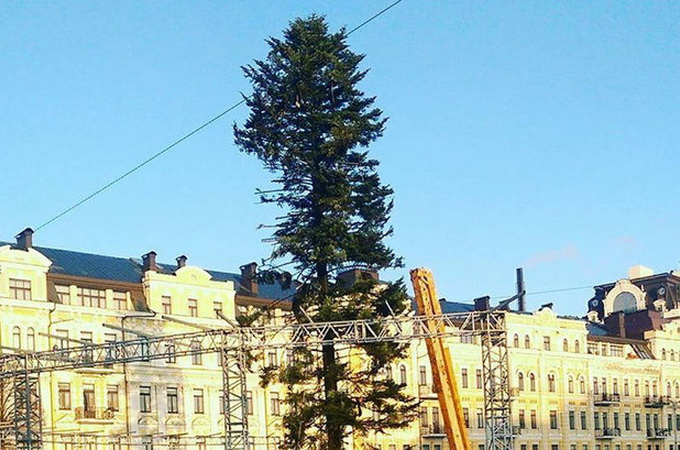 В Сети выяснили, почему «облысела» главная рождественская елка