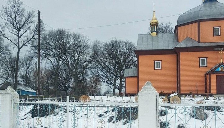 Срезанные деревья на территории захваченного храма в селе Полесское. Фото: СПЖ