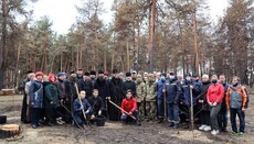 На місці згорілого лісу біля храму під Сєвєродонецьком висадили 100 дерев