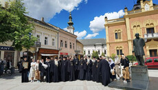 Єпископ Бачський Сербської Церкви Іриней зустрівся з делегацією УПЦ