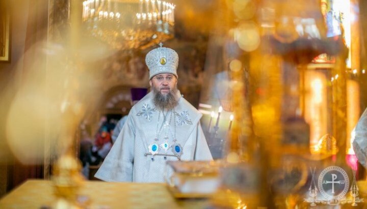 Керуючий справами УПЦ митрополит Антоній (Паканич). Фото: сторінка митрополита Антонія в Facebook