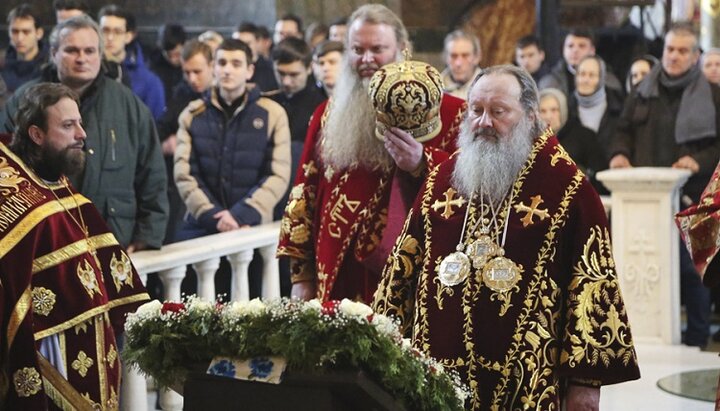 Митрополит Павел біля ікони з часткою мощей священномученика Володимира (Богоявленського). Фото: lavra.ua