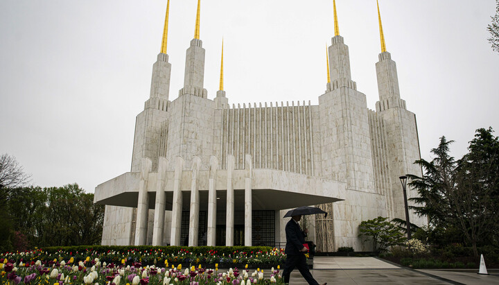 Храм мормонів. Фото: nbcnews.com