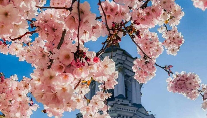 Києво-Печерська лавра. Весна 2024 р. Фото: столичні телеграм-канали