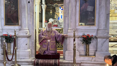 Metropolitan Nektarios of Corfu: Conscience is the unwritten law of God