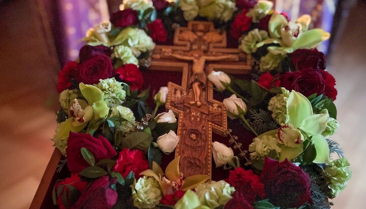 The Church celebrates Veneration of the Cross Sunday