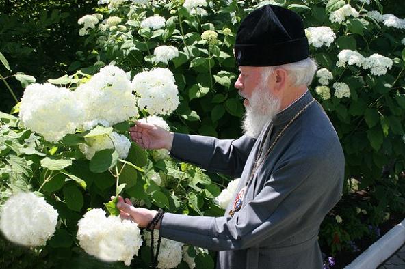 Про що писав Блаженніший Митрополит Володимир (Сабодан) фото 2